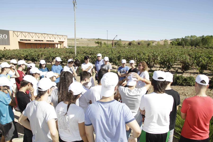 Durante la entrega de los galardones, los estudiantes participaron en distintas actividades de recreo y didácticas en un viñedo del grupo bodeguero familiar Emilio Moro, organizador del certamen