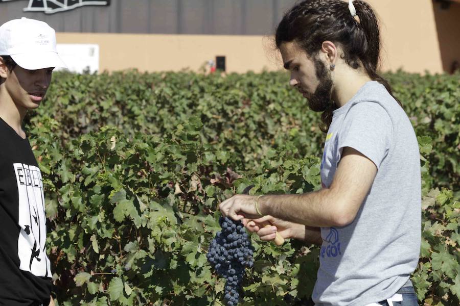 Durante la entrega de los galardones, los estudiantes participaron en distintas actividades de recreo y didácticas en un viñedo del grupo bodeguero familiar Emilio Moro, organizador del certamen