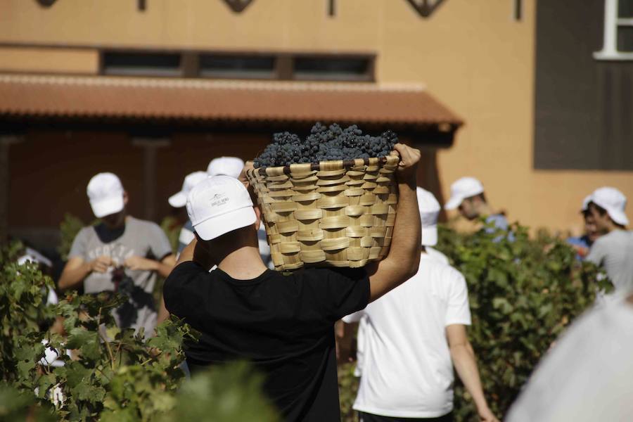 Durante la entrega de los galardones, los estudiantes participaron en distintas actividades de recreo y didácticas en un viñedo del grupo bodeguero familiar Emilio Moro, organizador del certamen