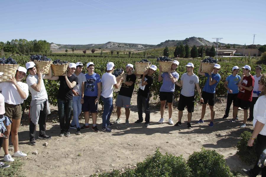 Durante la entrega de los galardones, los estudiantes participaron en distintas actividades de recreo y didácticas en un viñedo del grupo bodeguero familiar Emilio Moro, organizador del certamen