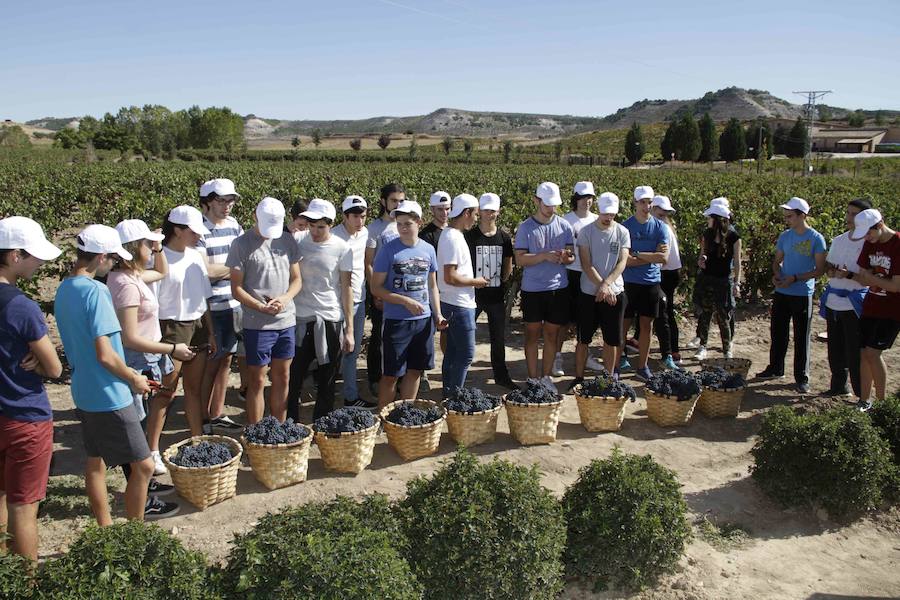 Durante la entrega de los galardones, los estudiantes participaron en distintas actividades de recreo y didácticas en un viñedo del grupo bodeguero familiar Emilio Moro, organizador del certamen