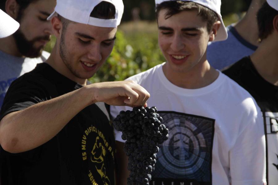 Durante la entrega de los galardones, los estudiantes participaron en distintas actividades de recreo y didácticas en un viñedo del grupo bodeguero familiar Emilio Moro, organizador del certamen