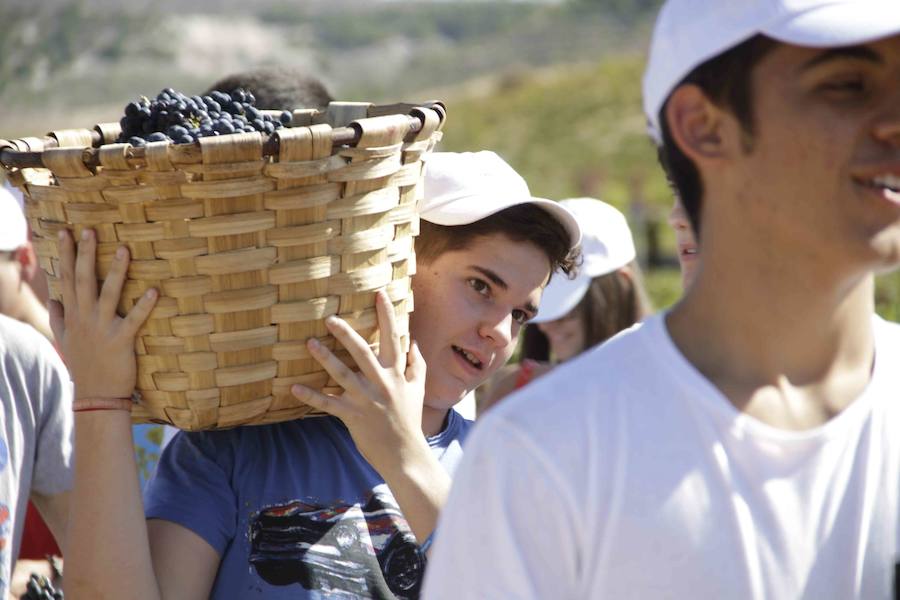 Durante la entrega de los galardones, los estudiantes participaron en distintas actividades de recreo y didácticas en un viñedo del grupo bodeguero familiar Emilio Moro, organizador del certamen