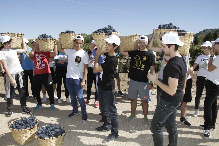 Durante la entrega de los galardones, los estudiantes participaron en distintas actividades de recreo y didácticas en un viñedo del grupo bodeguero familiar Emilio Moro, organizador del certamen