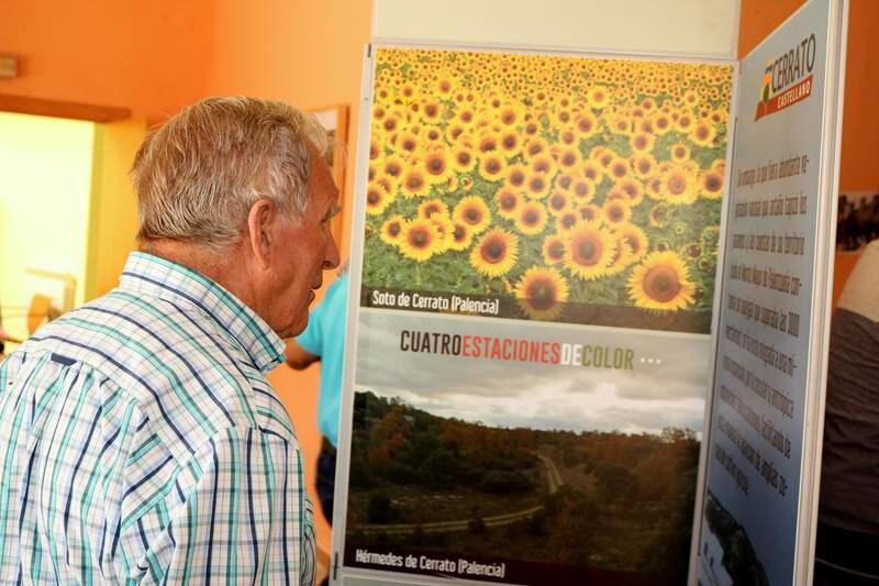 Taller de música en Cevico Navero