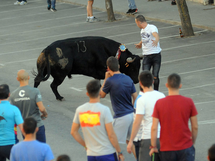 Toro en cajón en la Fiesta de la Vendimia de Rueda