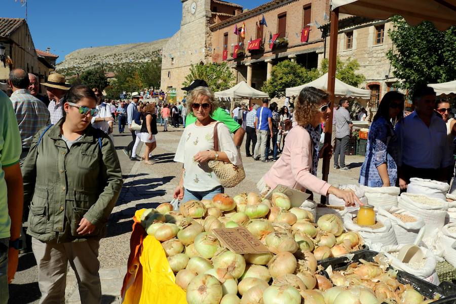 Feria de la Cebolla en Palenzuela