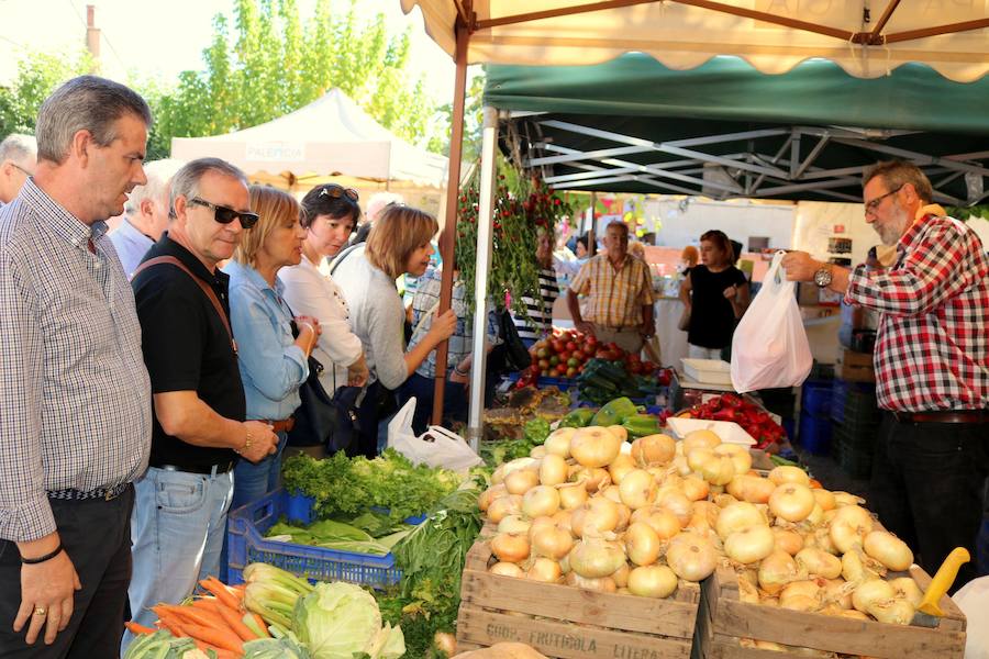 Feria de la Cebolla en Palenzuela