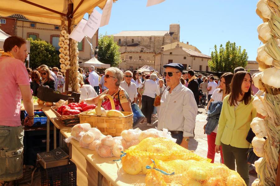 Feria de la Cebolla en Palenzuela