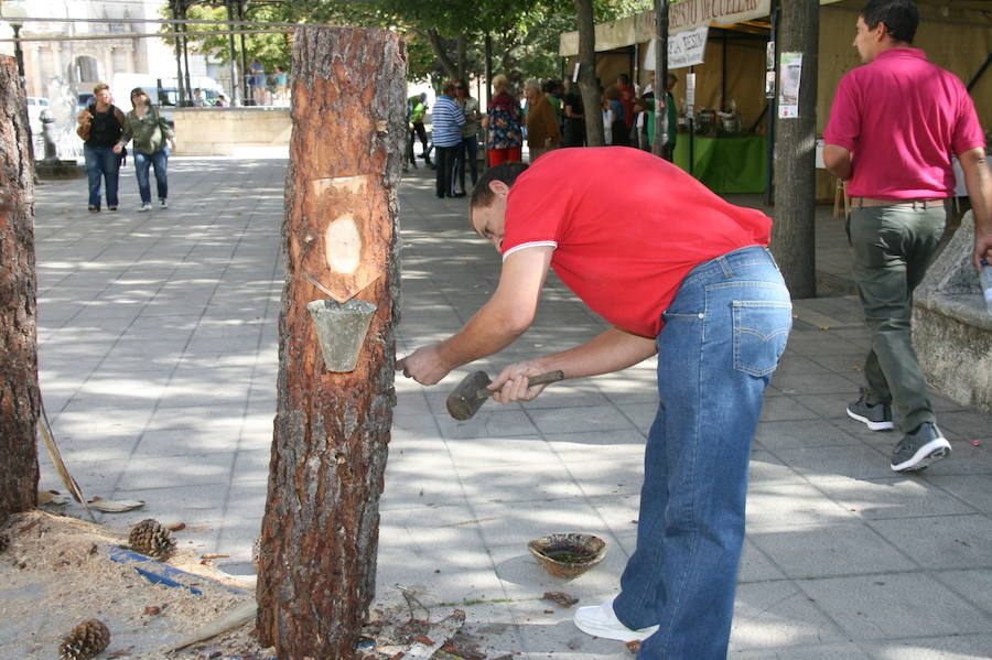 Fiesta de la resina en Cuéllar