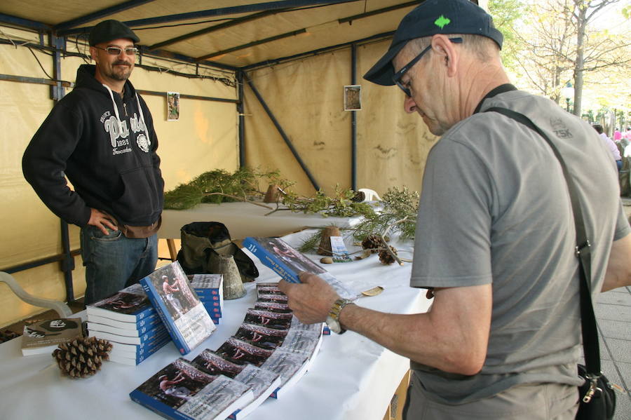 Fiesta de la resina en Cuéllar