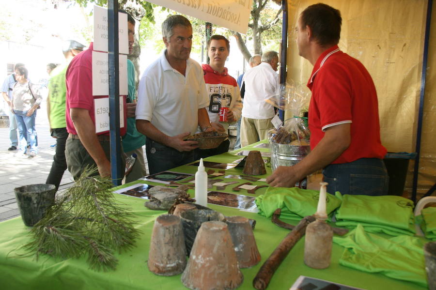 Fiesta de la resina en Cuéllar