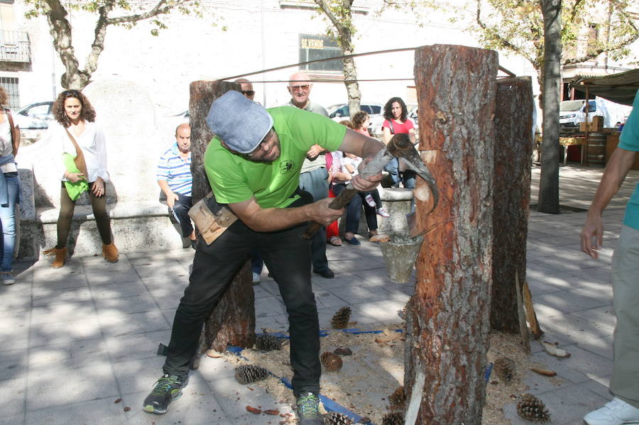Fiesta de la resina en Cuéllar
