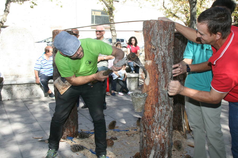 Fiesta de la resina en Cuéllar