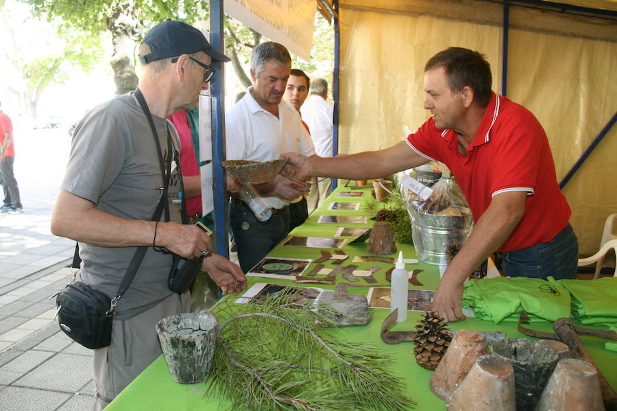 Fiesta de la resina en Cuéllar