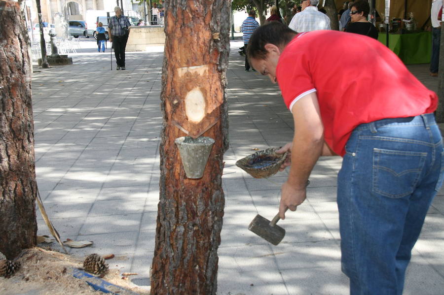 Fiesta de la resina en Cuéllar