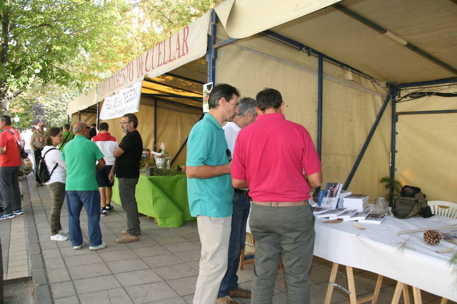 Fiesta de la resina en Cuéllar