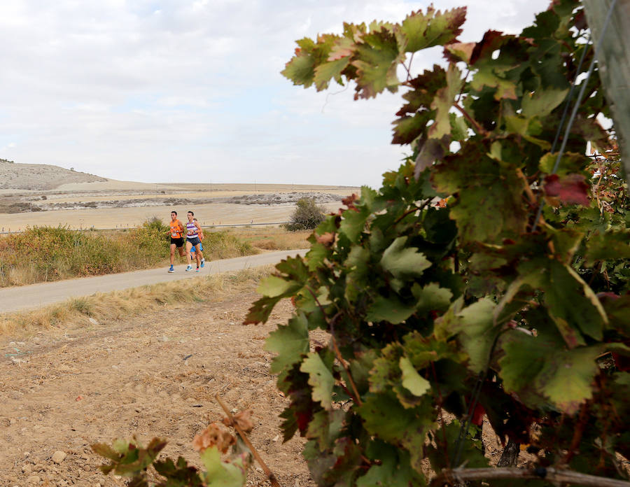 Corcos acoge la cuarta prueba del ‘Circuito corriendo entre viñas’