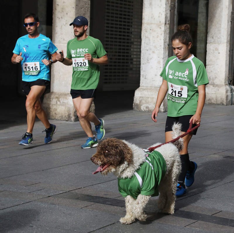 Marcha contra el cáncer en Palencia