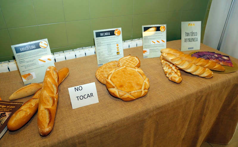 Los panaderos, el Centro Tecnológico del Cereal, El Norte de Castilla y la Diputación se unen para difundir las propiedades alimenticias del pan artesano que se elabora en la provincia