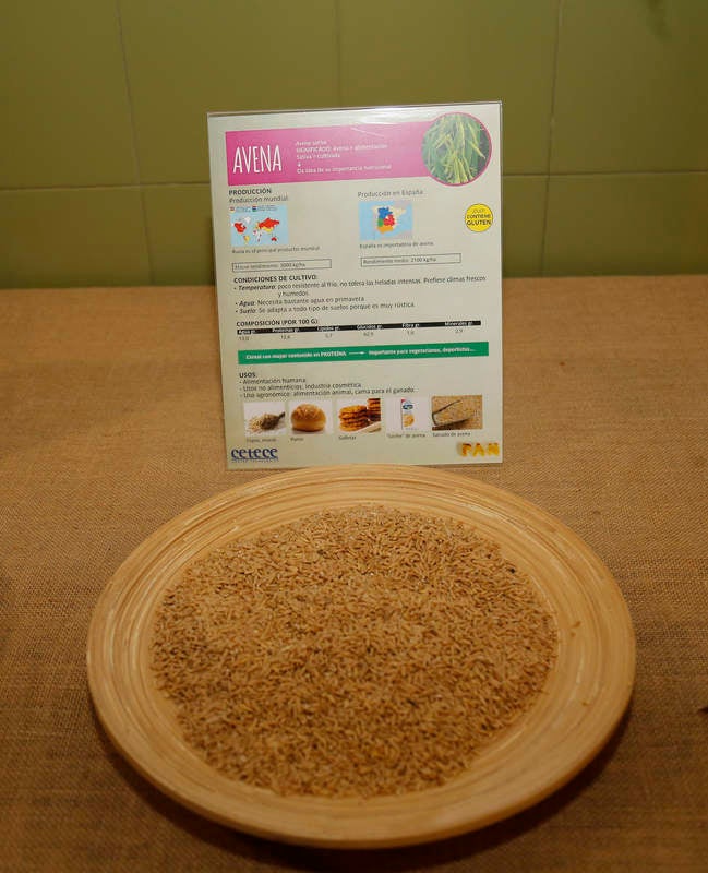 Los panaderos, el Centro Tecnológico del Cereal, El Norte de Castilla y la Diputación se unen para difundir las propiedades alimenticias del pan artesano que se elabora en la provincia