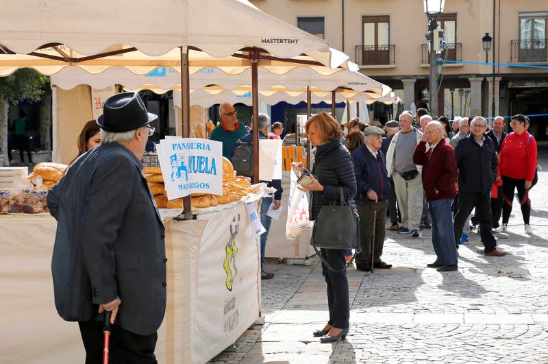 Feria del pan en Palencia