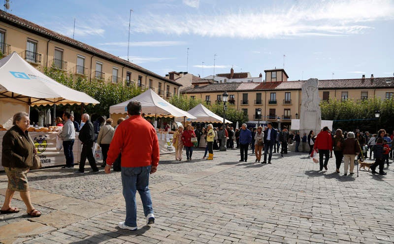 Feria del pan en Palencia