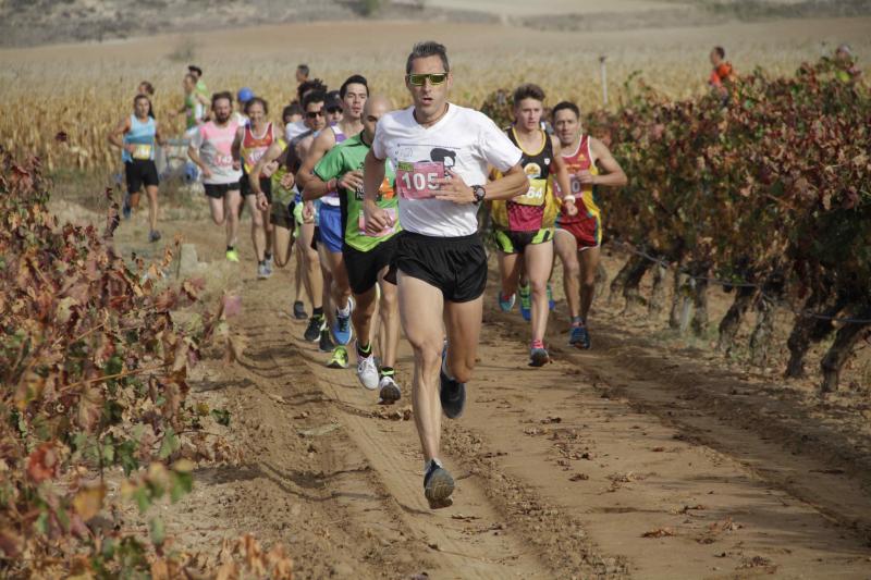 Carrera en Pesquera de Duero del circuito Entre Viñas (1/2)