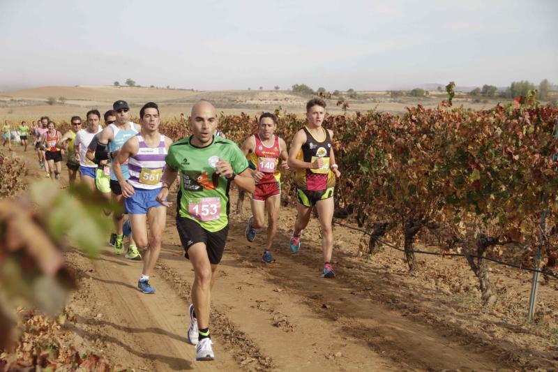 Carrera en Pesquera de Duero del circuito Entre Viñas (1/2)