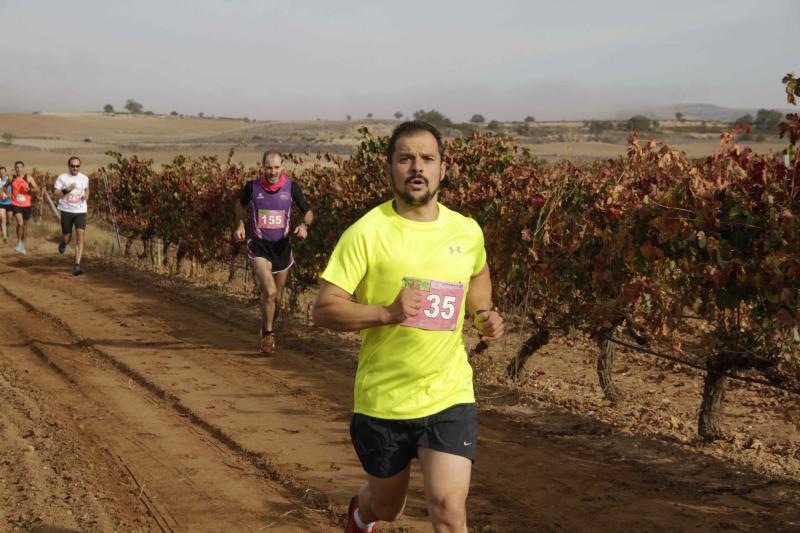 Carrera en Pesquera de Duero del circuito Entre Viñas (1/2)