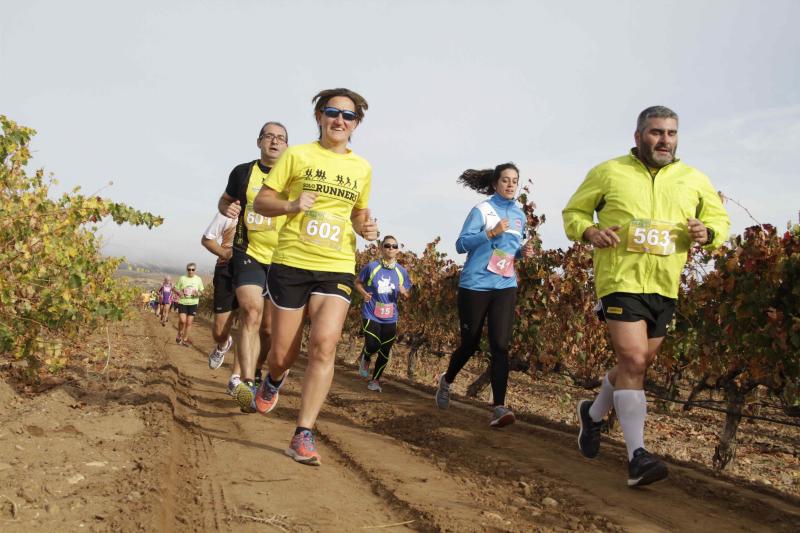 Carrera en Pesquera de Duero del circuito Entre Viñas (1/2)