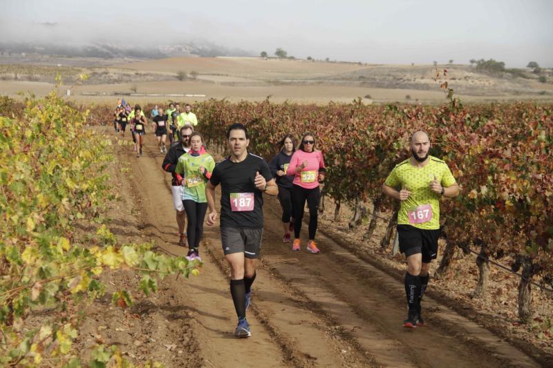 Carrera en Pesquera de Duero del circuito Entre Viñas (1/2)