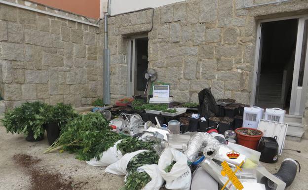 Bienes y plantas aprehendidos por la Guardia Civil. 