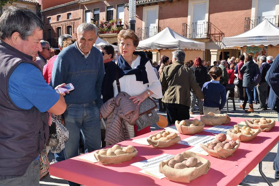 Feria de la patata en Herrera de Pisuerga