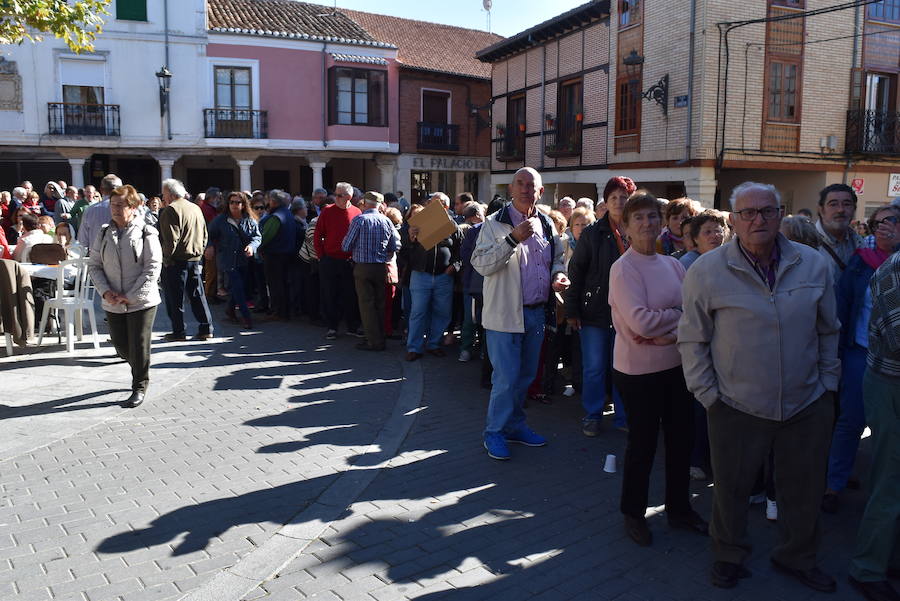 Feria de la patata en Herrera de Pisuerga