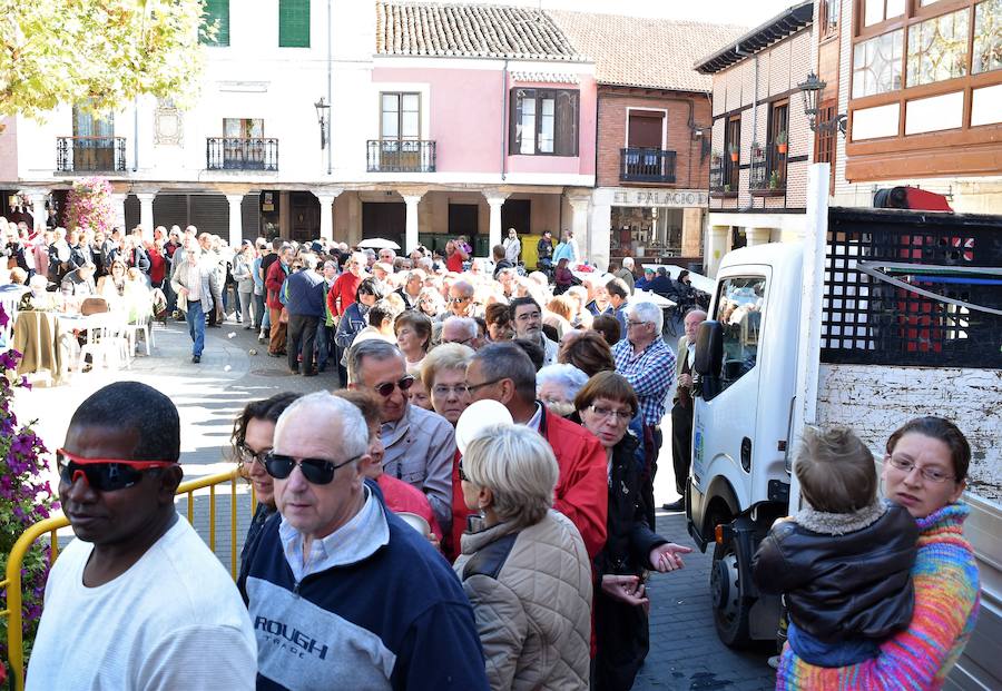 Feria de la patata en Herrera de Pisuerga