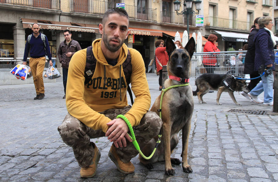 Segovia celebra el Día Mundial de los Animales