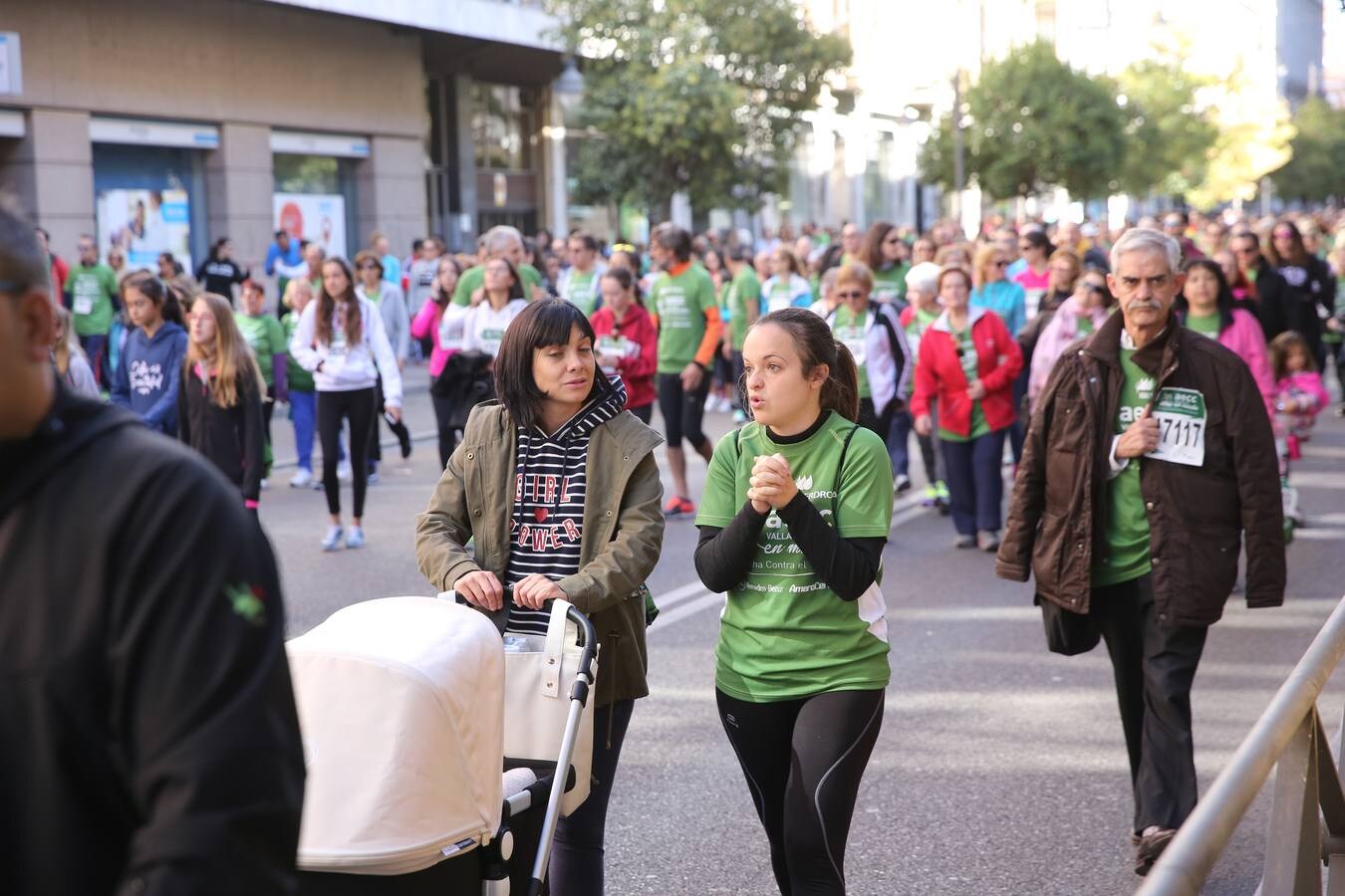 Miles de vallisoletanos se han vestido hoy de verde para salir a la calle en una marcha histórica