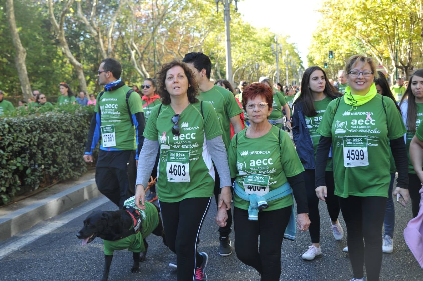 Miles de vallisoletanos se han vestido hoy de verde para salir a la calle en una marcha histórica