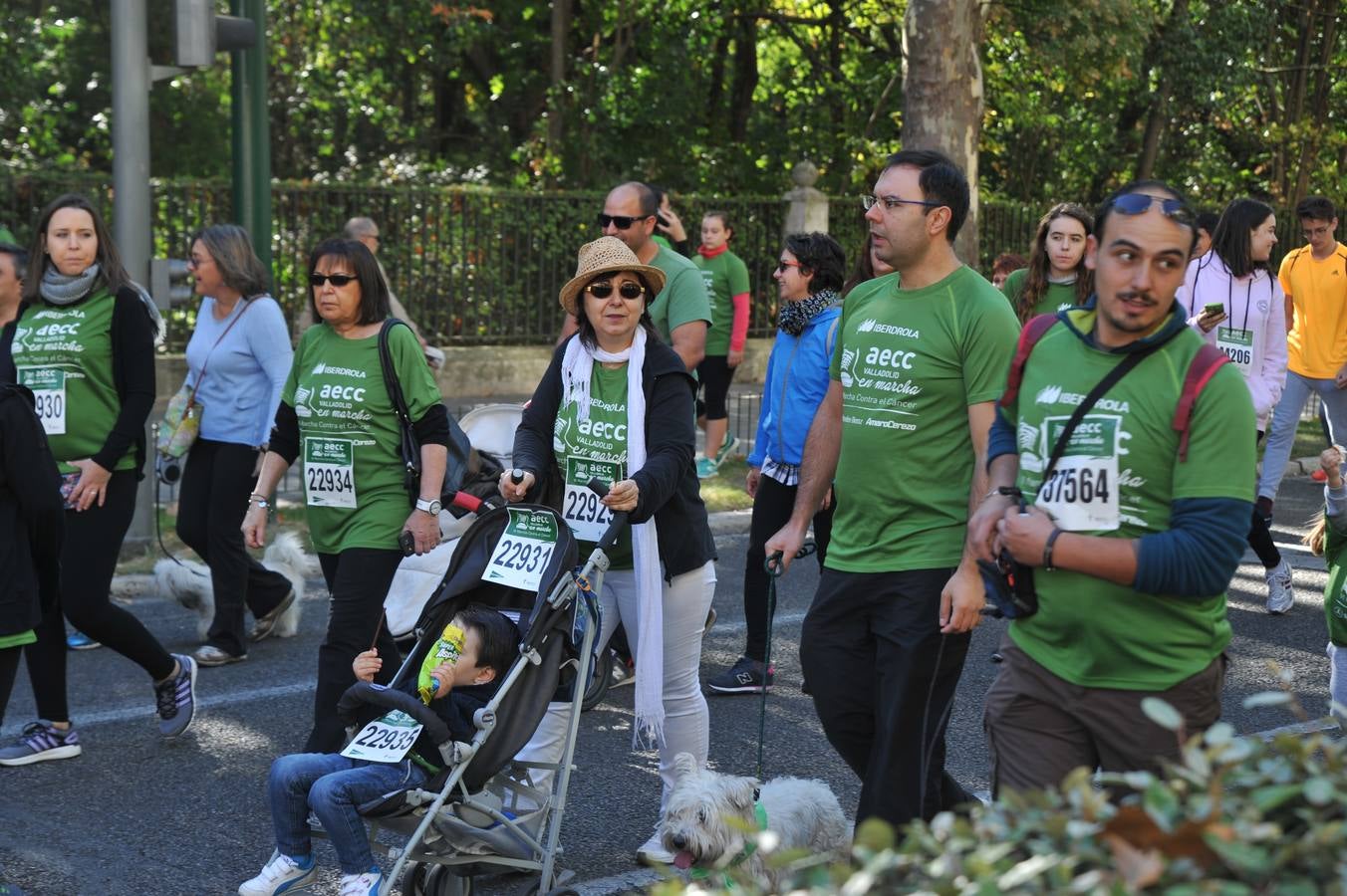 Miles de vallisoletanos se han vestido hoy de verde para salir a la calle en una marcha histórica