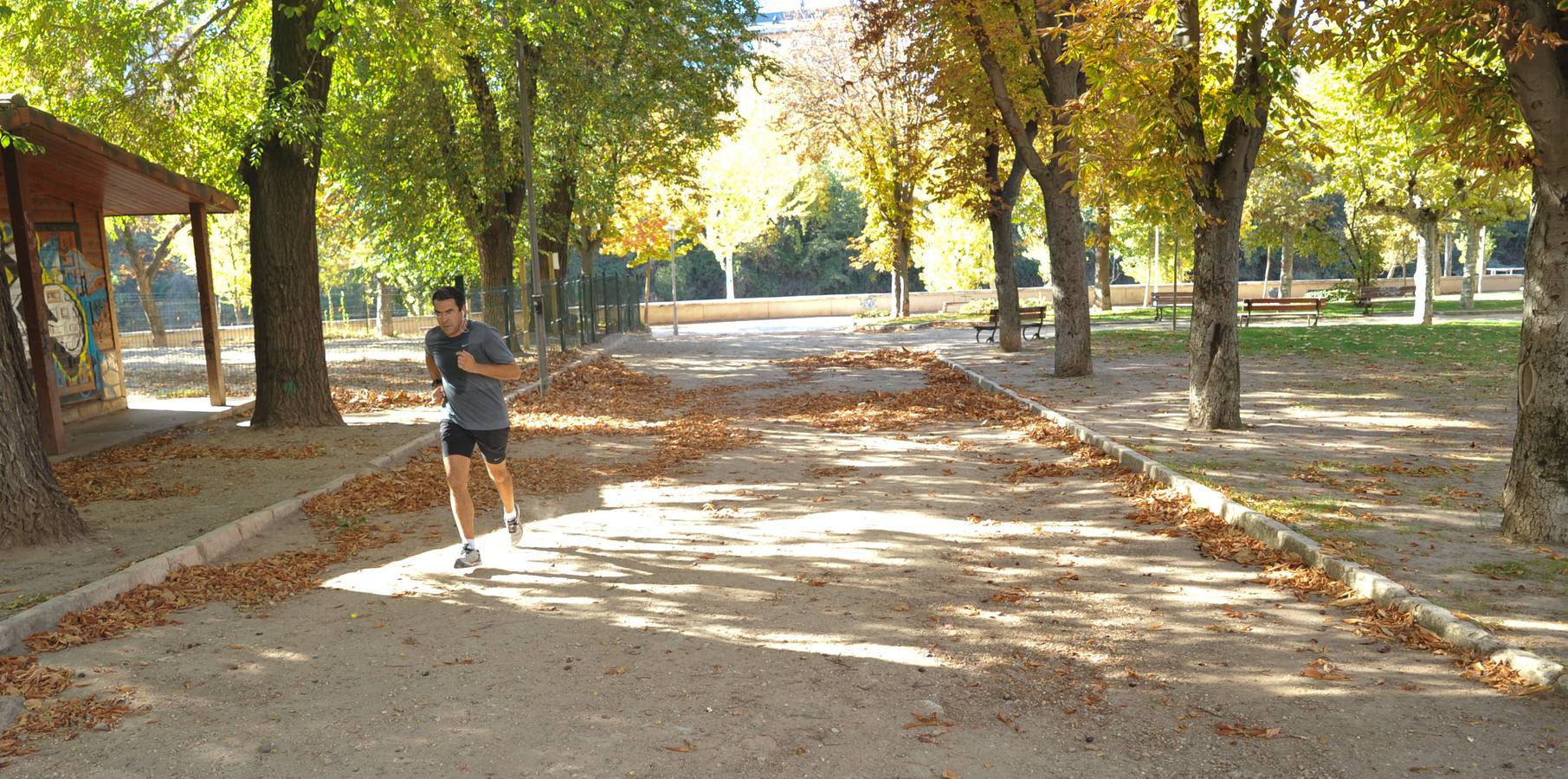 Los efectos de la sequía en los jardines públicos de Valladolid