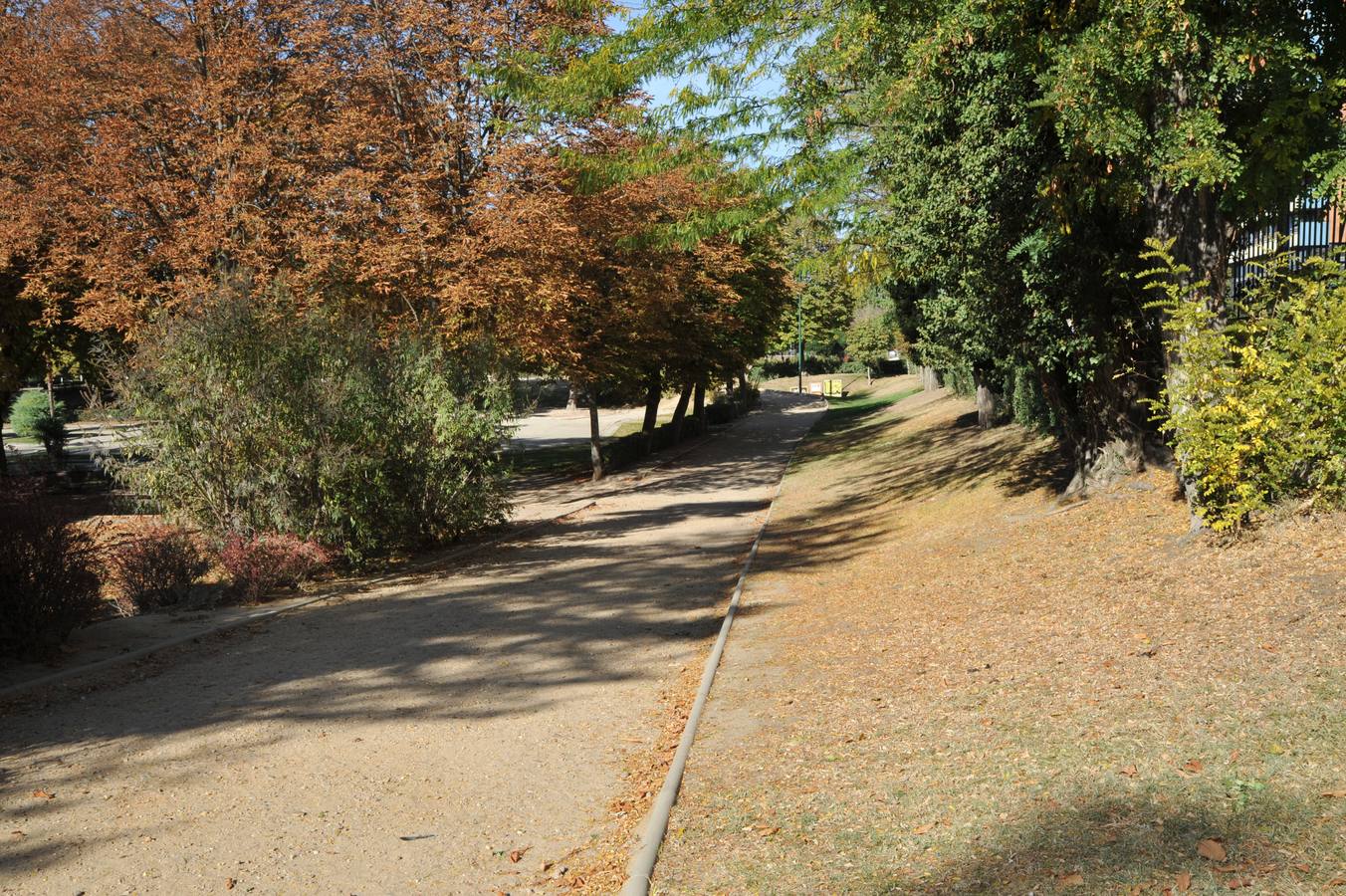 Los efectos de la sequía en los jardines públicos de Valladolid