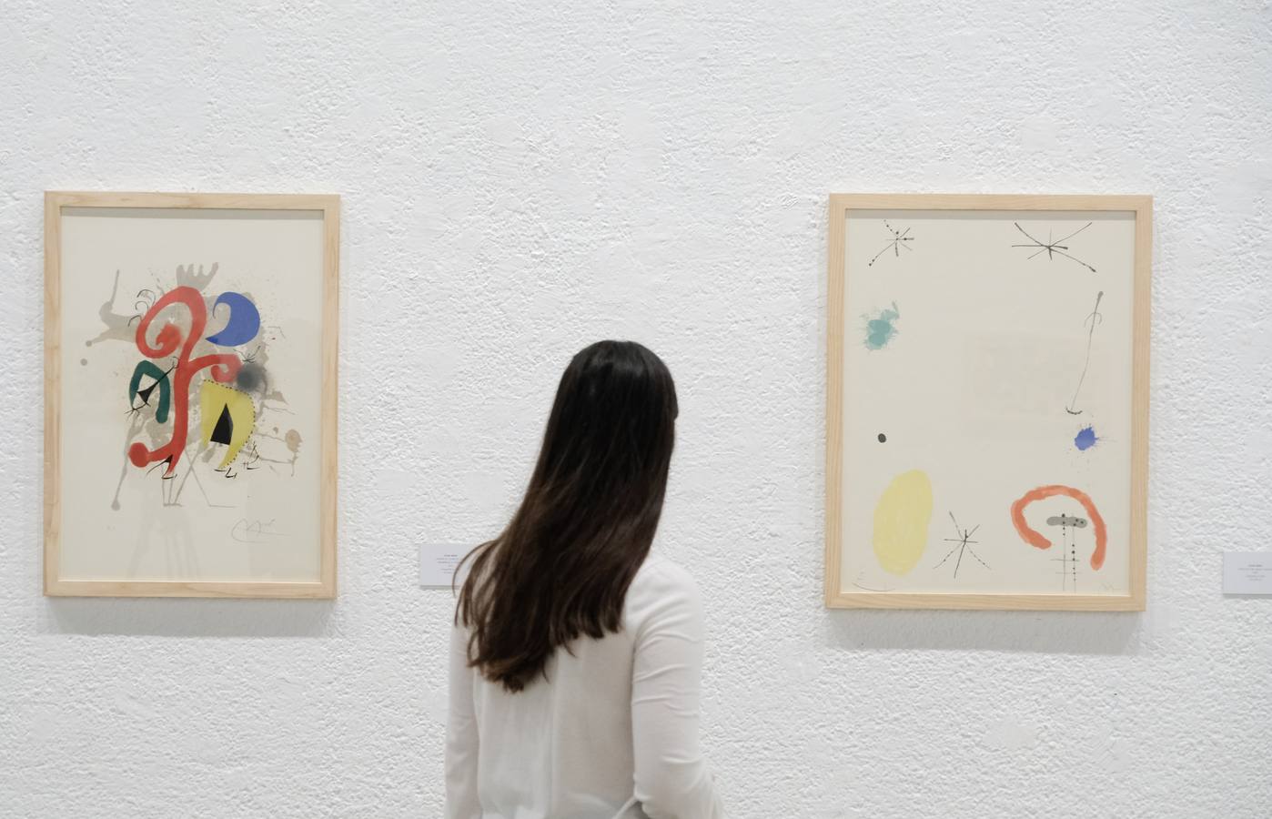 'Miró. El jardín de las maravillas', que podrá visitarse hasta el 7 de enero, muestra más de medio centenar de obras pertenecientes a la colección Guido Guastalla