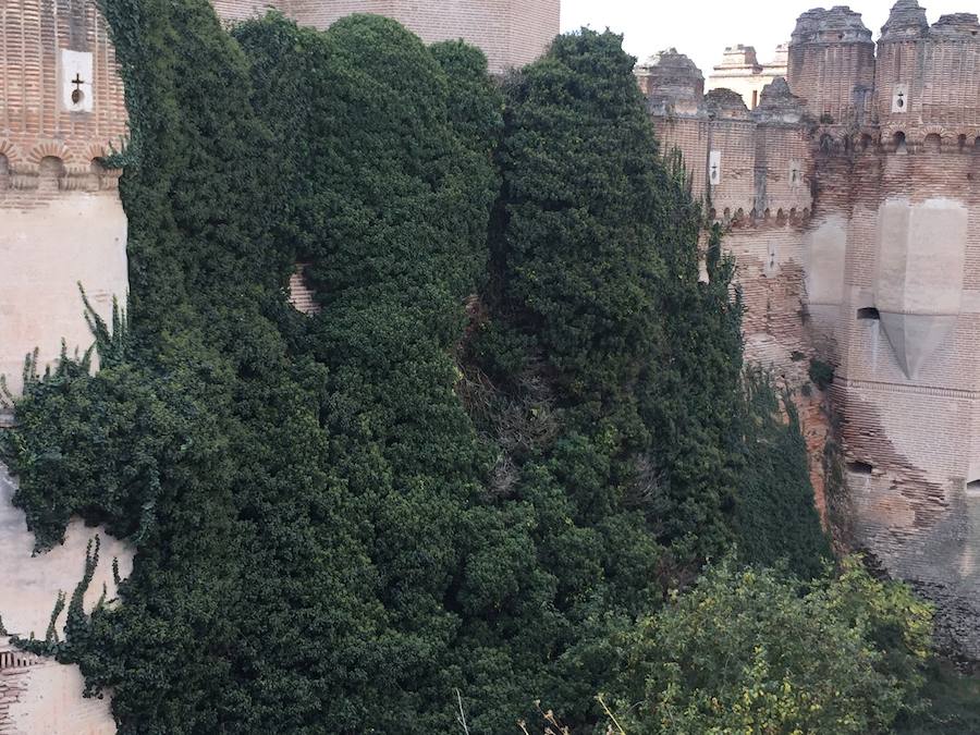 El castillo de Coca necesita una restauración