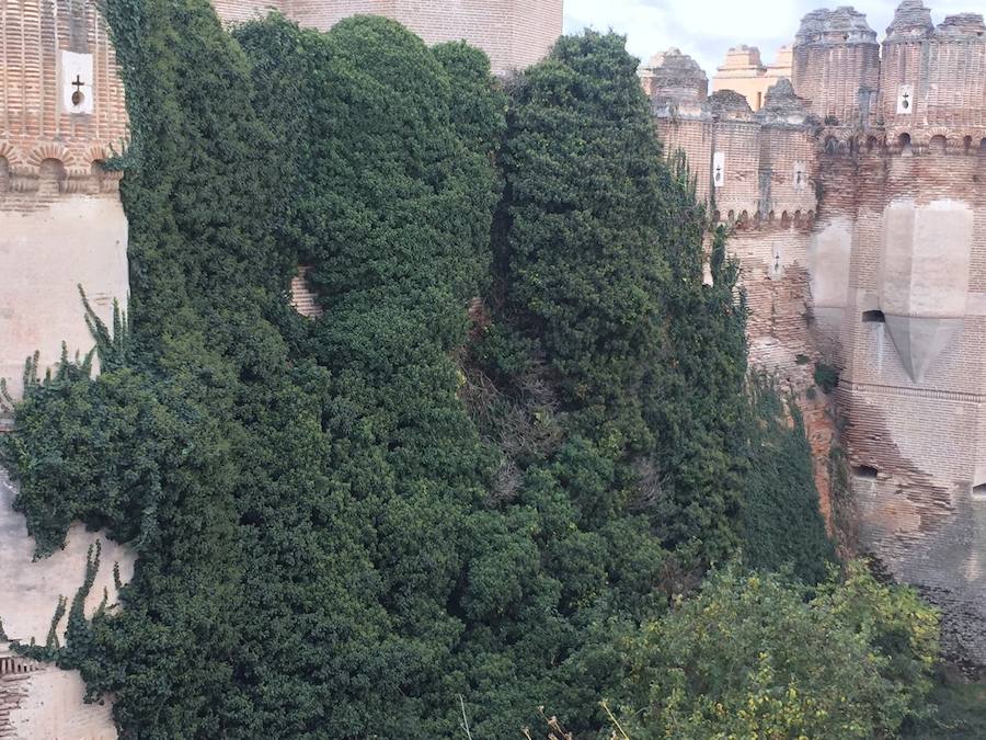 El castillo de Coca necesita una restauración
