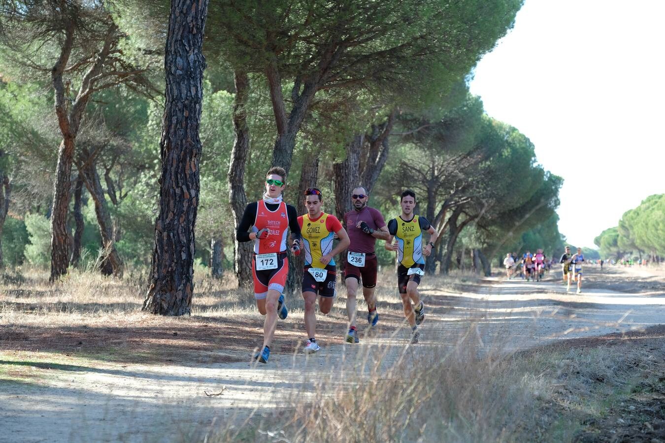 XVII Duatlón Pinal de Antequera (1/2)