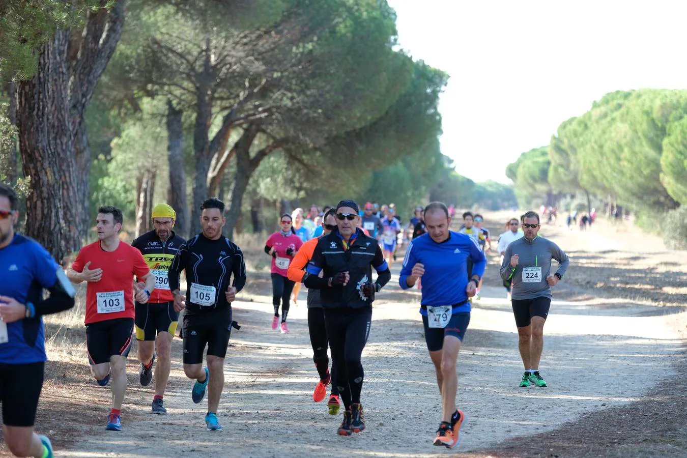 XVII Duatlón Pinal de Antequera (1/2)