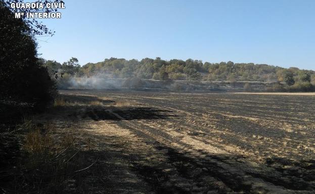 Paraje de Villosilla de la Vega arrasado por el fuego. 