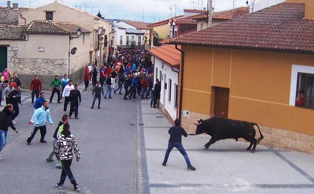 Los toros regresan este fin de semana con motivo de las fiestas de San Martín, en Traspinedo. 