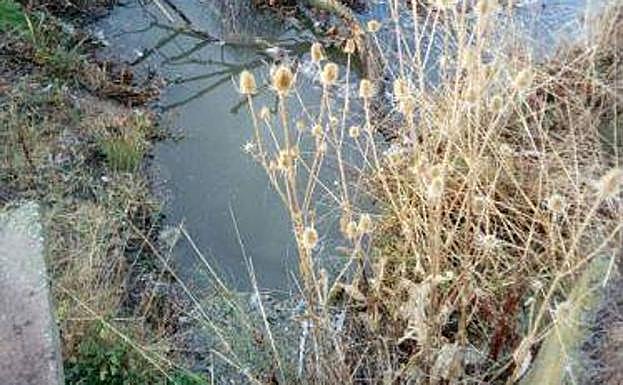 Imagen del arroyo de El Zurguen aportada por Mi Margen Izquierda 